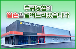 배너