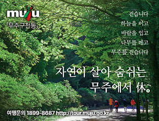 배너
