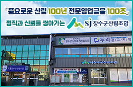 배너