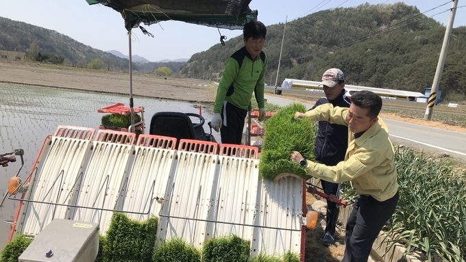 진안군, 벼 병해충 발생 최소화...벼 육묘상자처리제 공급
