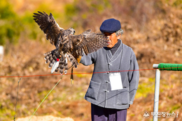 오는 13일 진안군, 전북특별자치도 무형유산 ‘매사냥’ 공개시연회