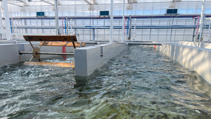 전북도, 육상 김 연중생산기술 특허등록