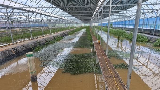 녹조를 사료로... 토하 친환경 양식기술 특허 3건 공동 출원