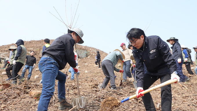 진안군, 제81회 식목일 기념...명품홍삼집적화단지 부지서 이팝나무 식재