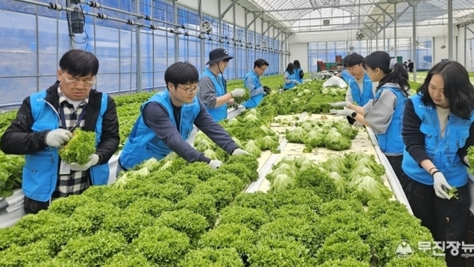 농촌진흥청, 진안 상추 농가에 현장 농업기술 지원