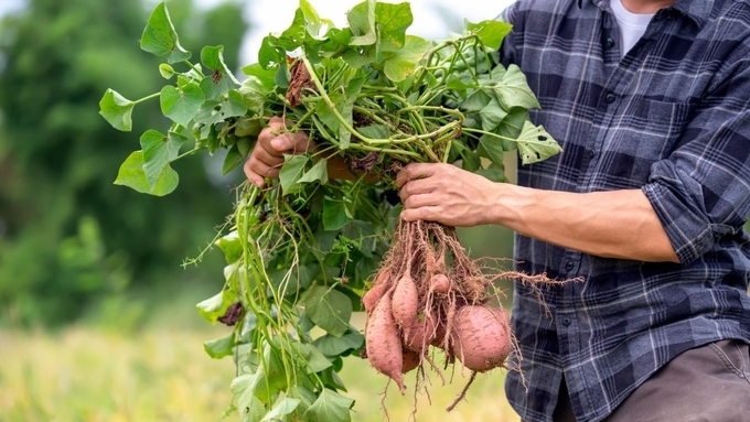 진안군, 지속가능한 친환경농업 지원 확대 ...직불·자재·품목 다양화 등