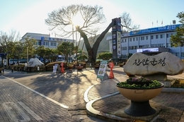 진안군, 지방세정 종합실적 평가 ‘3년 연속’우수기관 선정 쾌거