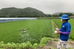무주군, 벼 무인 공동방제 지원사업 추진...신청하세요