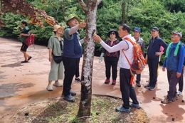장수군, 와룡·방화동자연휴양림서 ‘숲해설 프로그램’ 운영