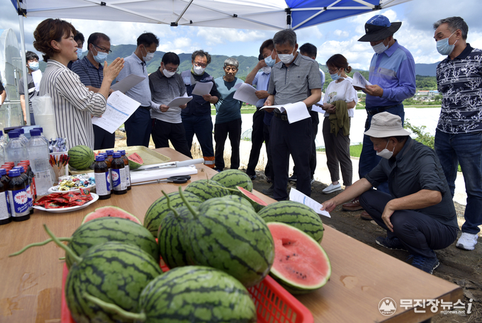 16일 전북 장수군 계남면 송재열 농가에서 열린 애플수박 지역적응 실증 시범사업 현장설명회에서 과수과 하은심 팀장이 농민들에게 애플수박에 대해 설명을 하고 있다.<br>
<br>
