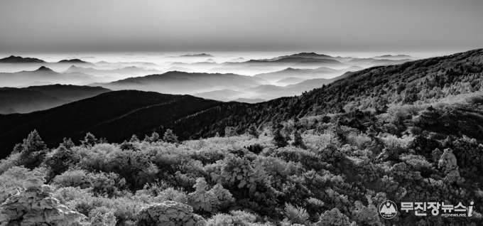 덕유(덕유 산그리메)