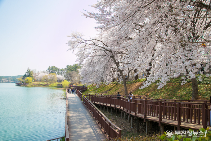 군산 은파 호수공원 (군산시 제공)