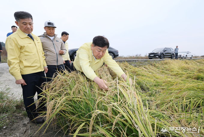 김관영 전북특별도지사는 26일 김제시 죽산면 일대의 벼 수발아 피해 및 논콩 피해현장을 직접 방문해 농가들의 애로사항을 청취하고 실질적 지원책을 마련하도록 노력하겠다고 말하고 있다.<br>
<br>
 