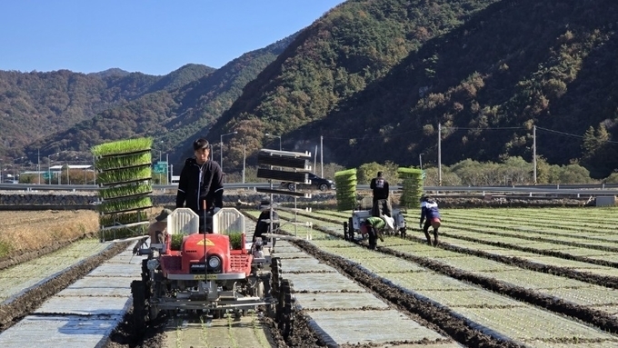 장수군, 양파 기계화 사업 시행... 농가 인력난 해소