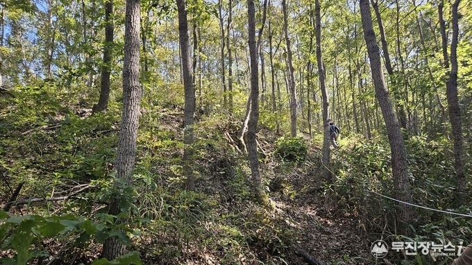 진안군, 2025년 숲가꾸기 사업 마무리....