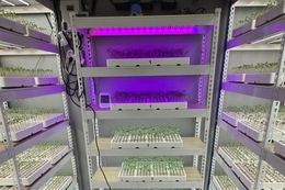 진안군, 전북농업기술원 ‘원예특작 맞춤형 신기술보급’ 공모사업 선정