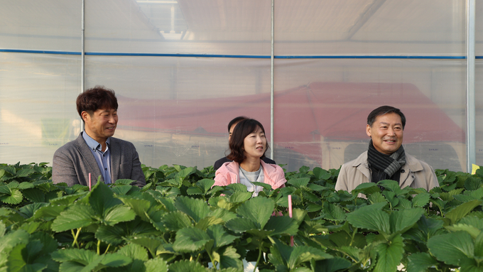 진안군, 부귀면 딸기･샤인머스캣 농가 방문 현장행정