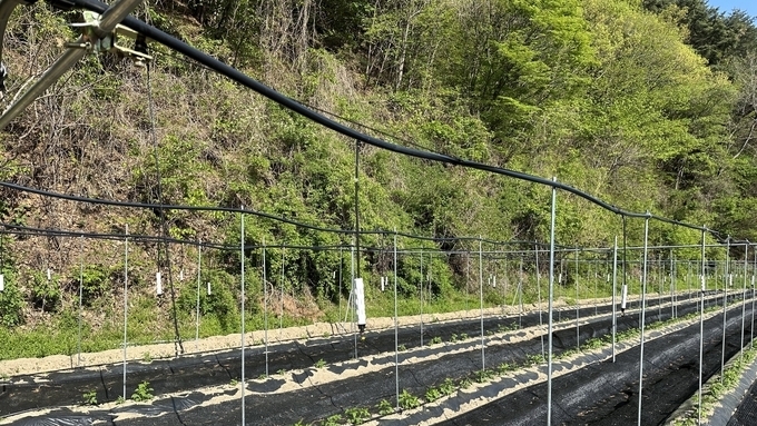 무주군, '26년 원예특작분야 지원 사업 추진...신청하세요!