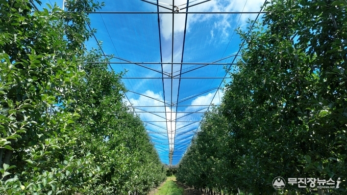 무주군, 13억여 원 투입...시설원예 분야 지원