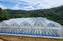 진안군, 지역특화품목 비닐하우스 대상자 선정 심의회 개최