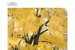 보호수 200본의 이야기 담은 도감 ‘그 나무 곁에 우리는’ 발간