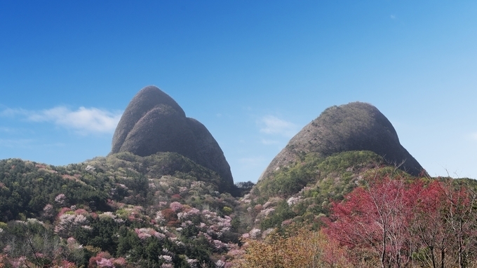 진안군 농촌유학 사업, 인구유입‧지역활력 이끈다
